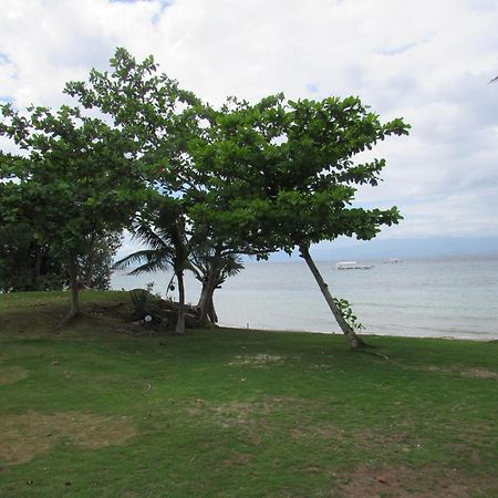 Dacozy Beach Resort Moalboal Buitenkant foto