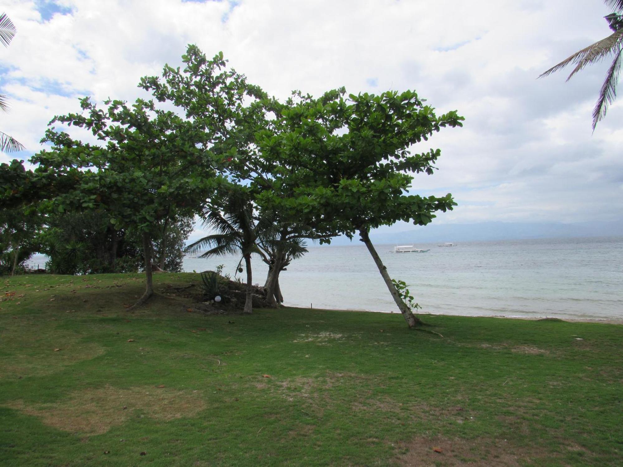 Dacozy Beach Resort Moalboal Buitenkant foto